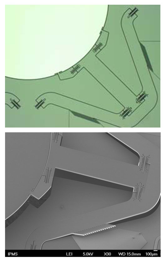 Set-up of Fourier transform spectrometer.