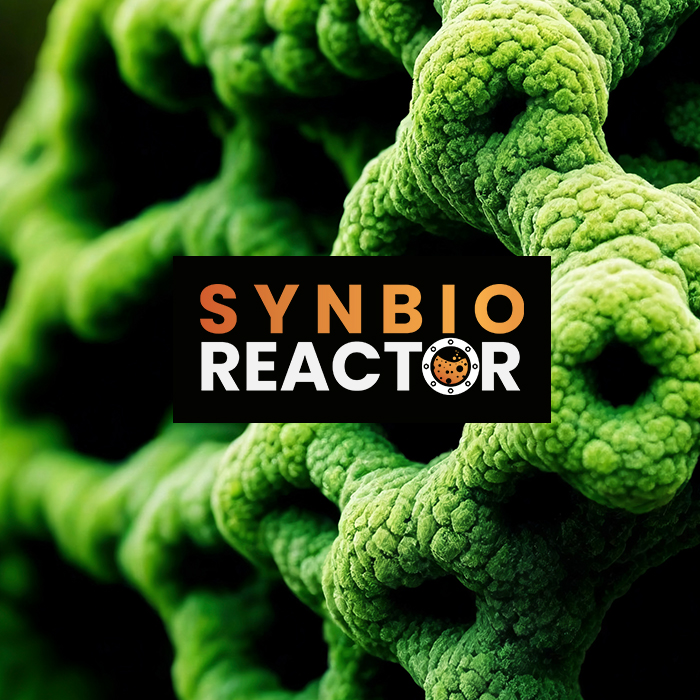 User workshop 2025 project