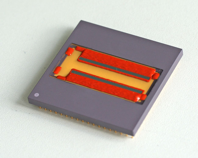 CMUT chip mounted on a carrier.